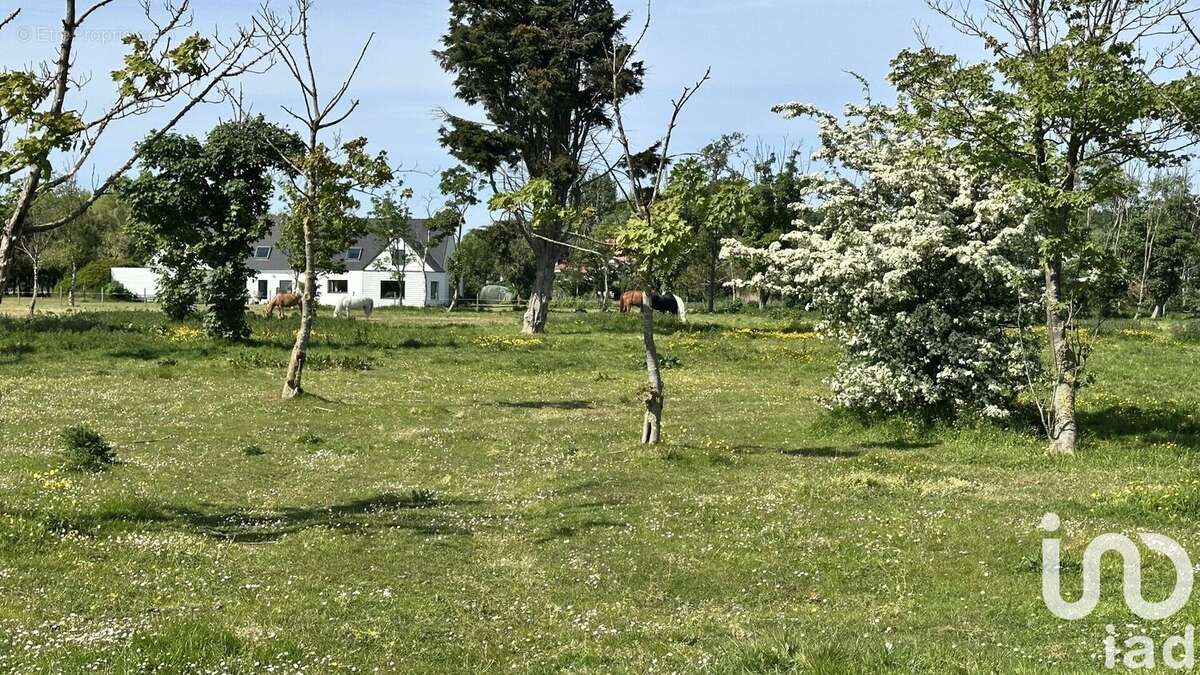 Photo 4 - Maison à MARCK