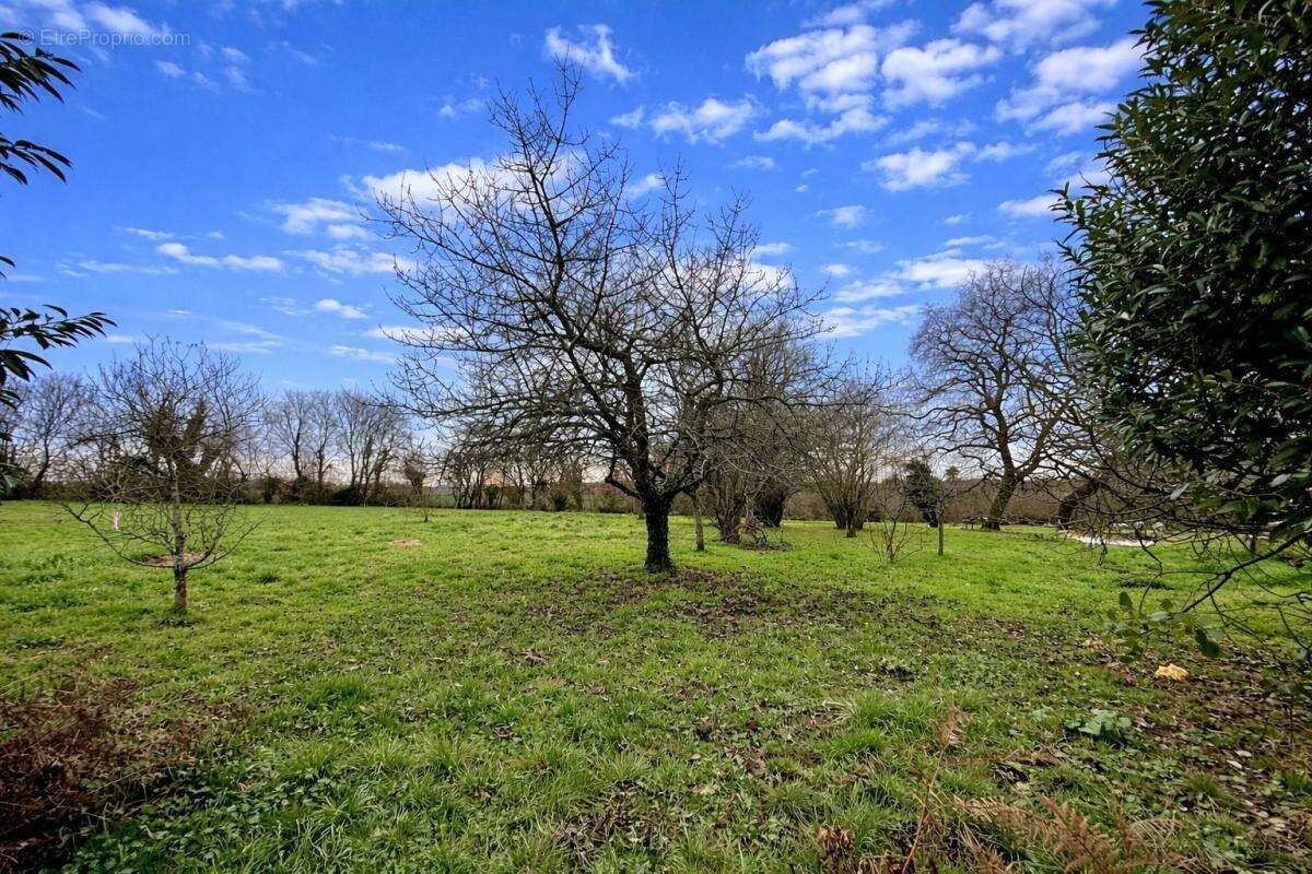 Maison à SAINT-COUTANT