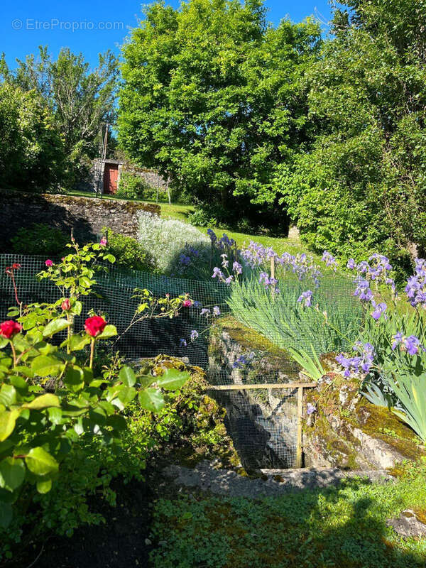 Maison à POUILLY-EN-AUXOIS