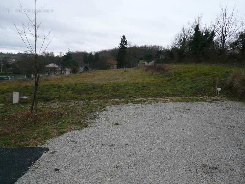 Terrain à SAINT-LAURENT-DE-COGNAC