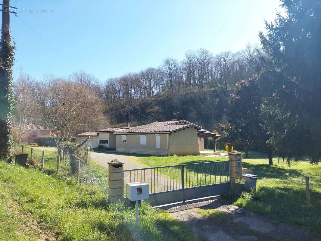 Maison à MONTESQUIEU-VOLVESTRE