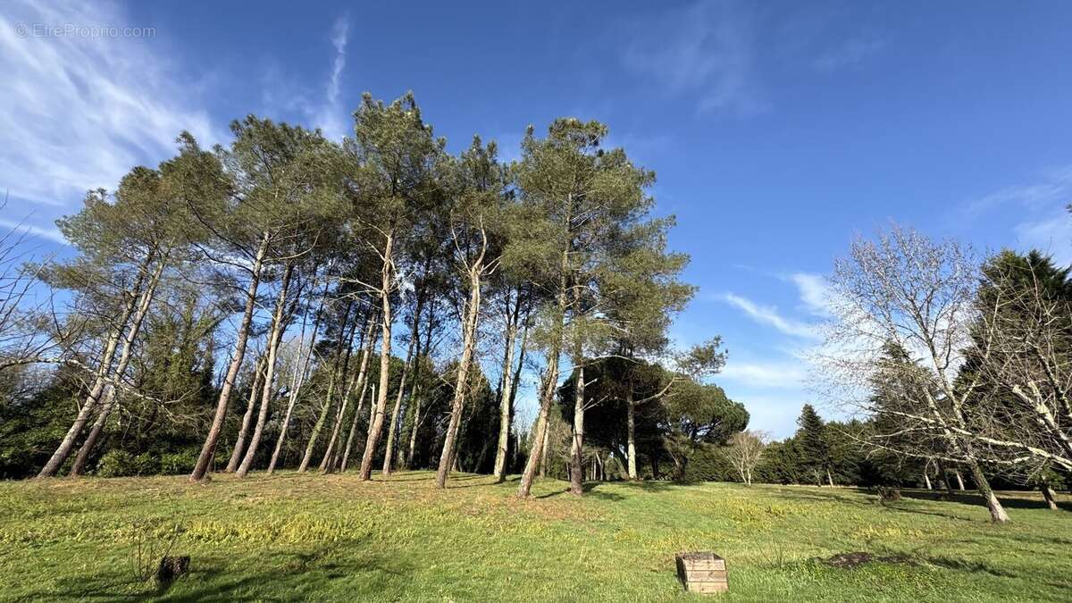 Propriété de caractère avec dépendances et piscine  Domaine de 3 hectares au calme absolu - photo 6