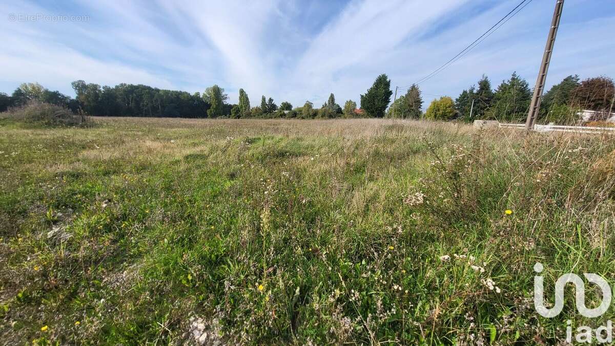 Photo 2 - Terrain à LA COUR-MARIGNY