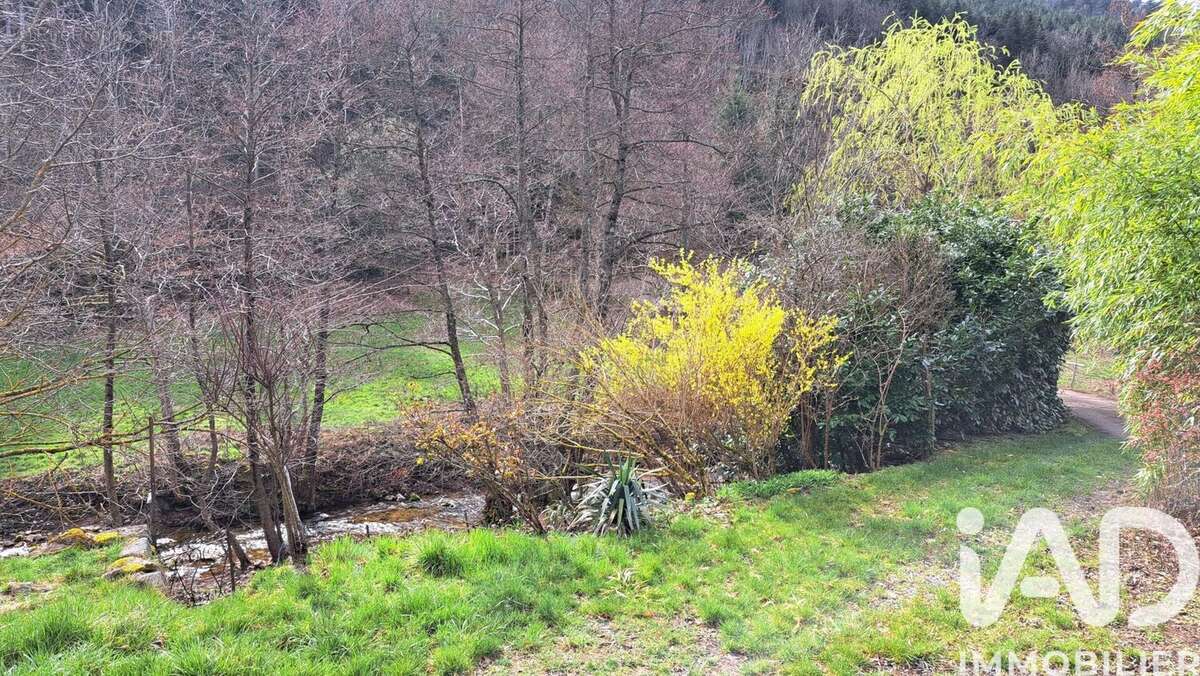 Maison 70 m² à Saint-Julien-Vocance  - photo 6