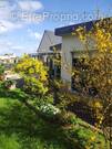 Jardin en fleurs  - Maison à LANDEDA