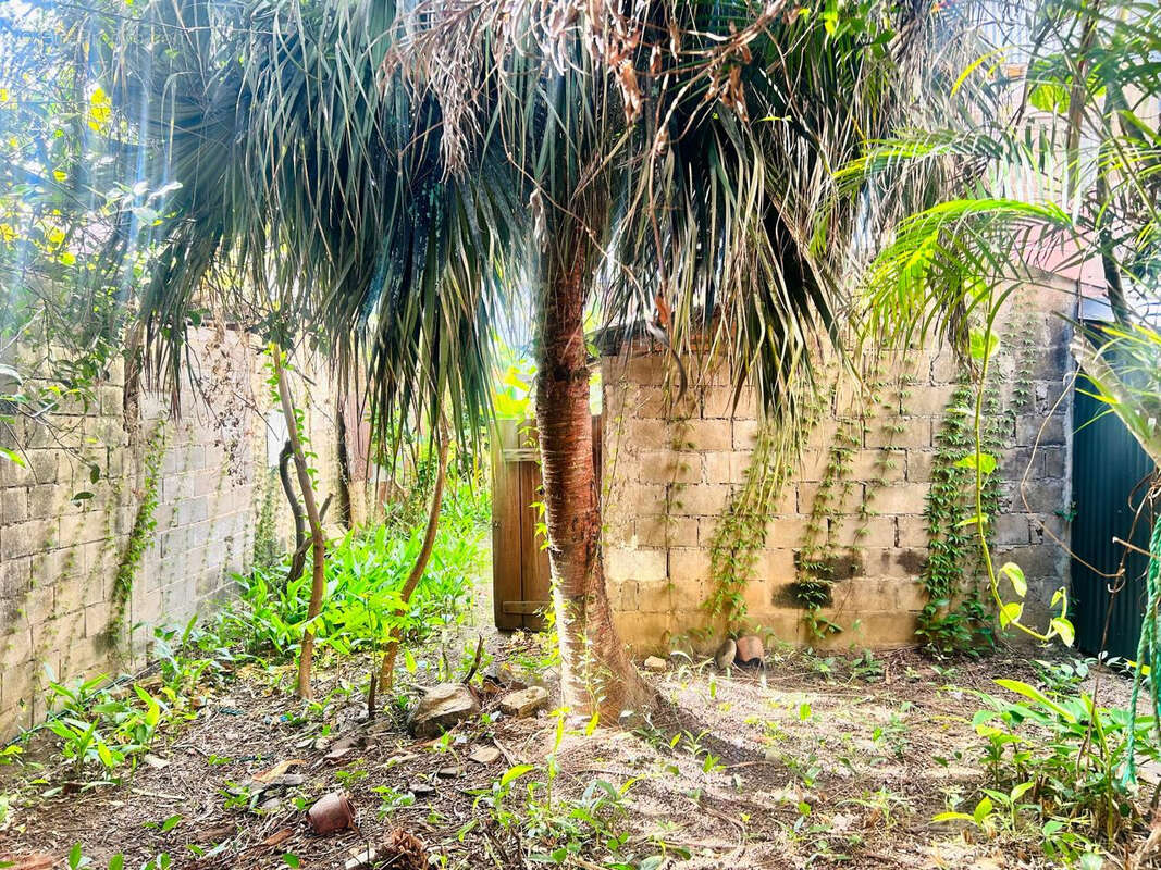 Maison à CAYENNE