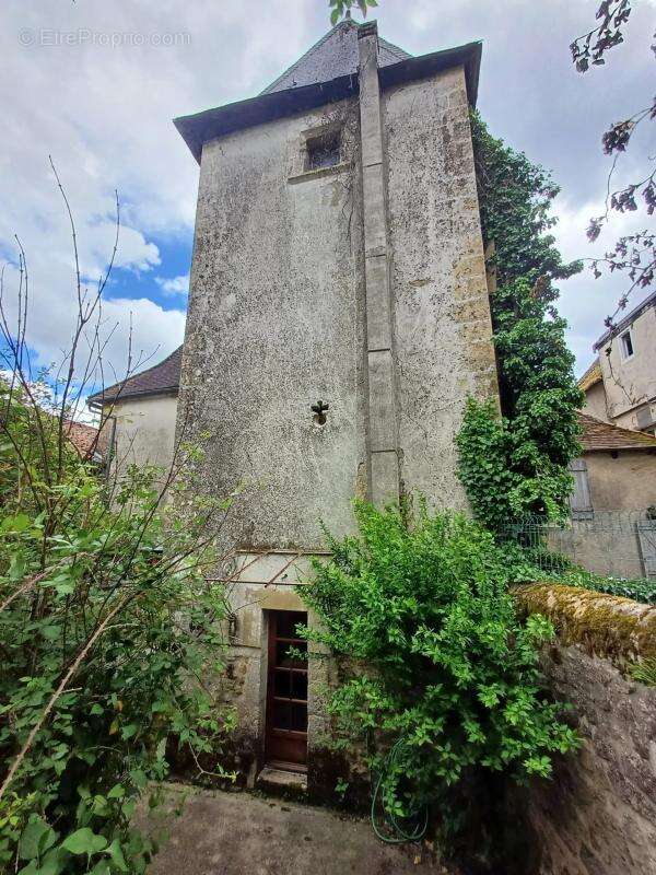 Grande maison de caractère - avec jardin et boutique à Thiviers - photo 19