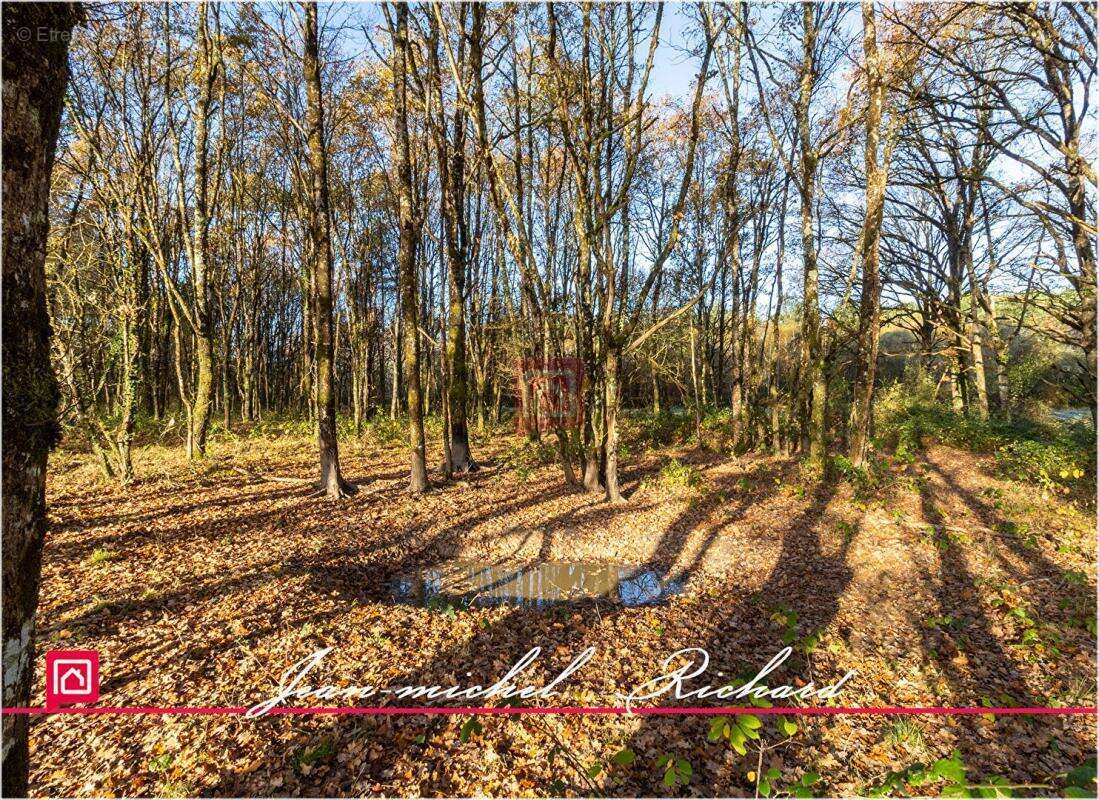 Terrain à COURMEMIN