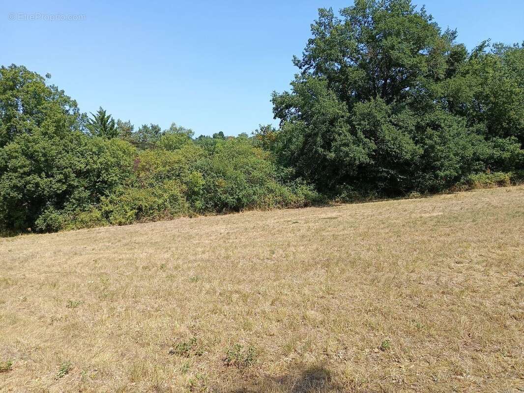 Terrain constructible de 1015m² - photo 2