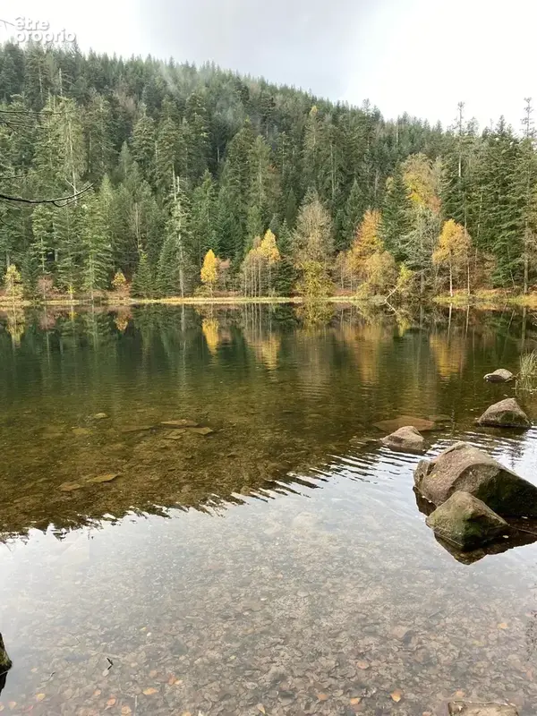 Magnifique Propriété isolée entre Lac de Pierre Percée et le Donon - photo 20
