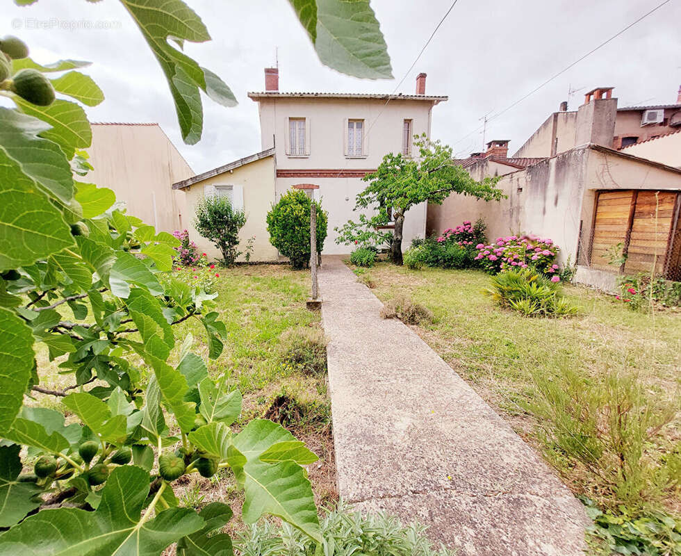 Maison à ALBI