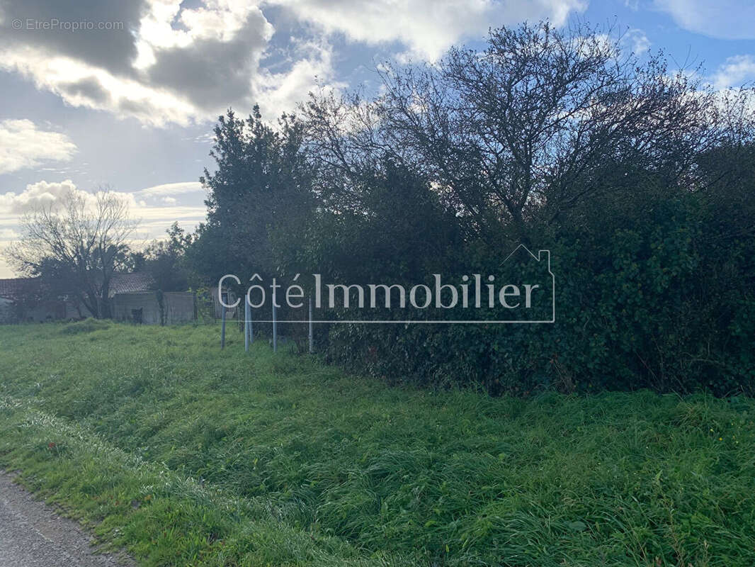 Maison à BOURGNEUF-EN-RETZ