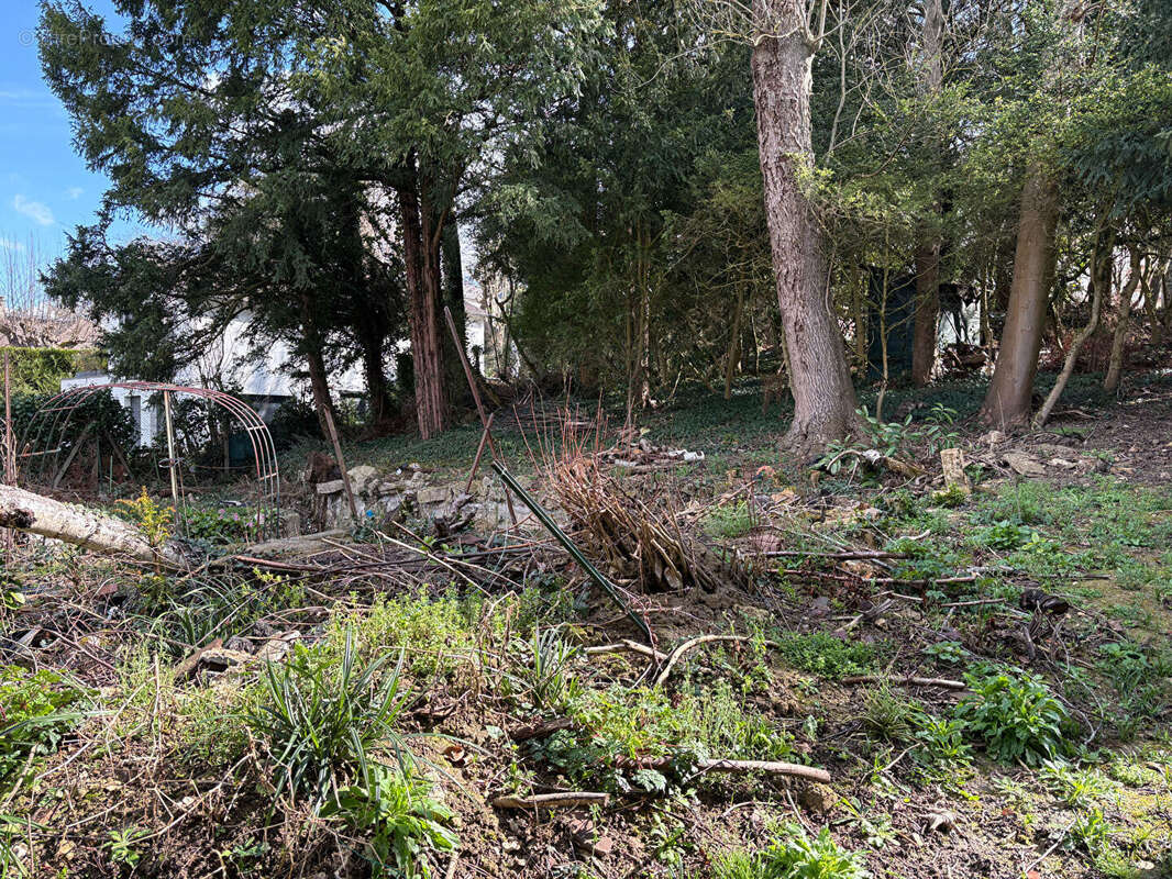 Terrain à LE PECQ
