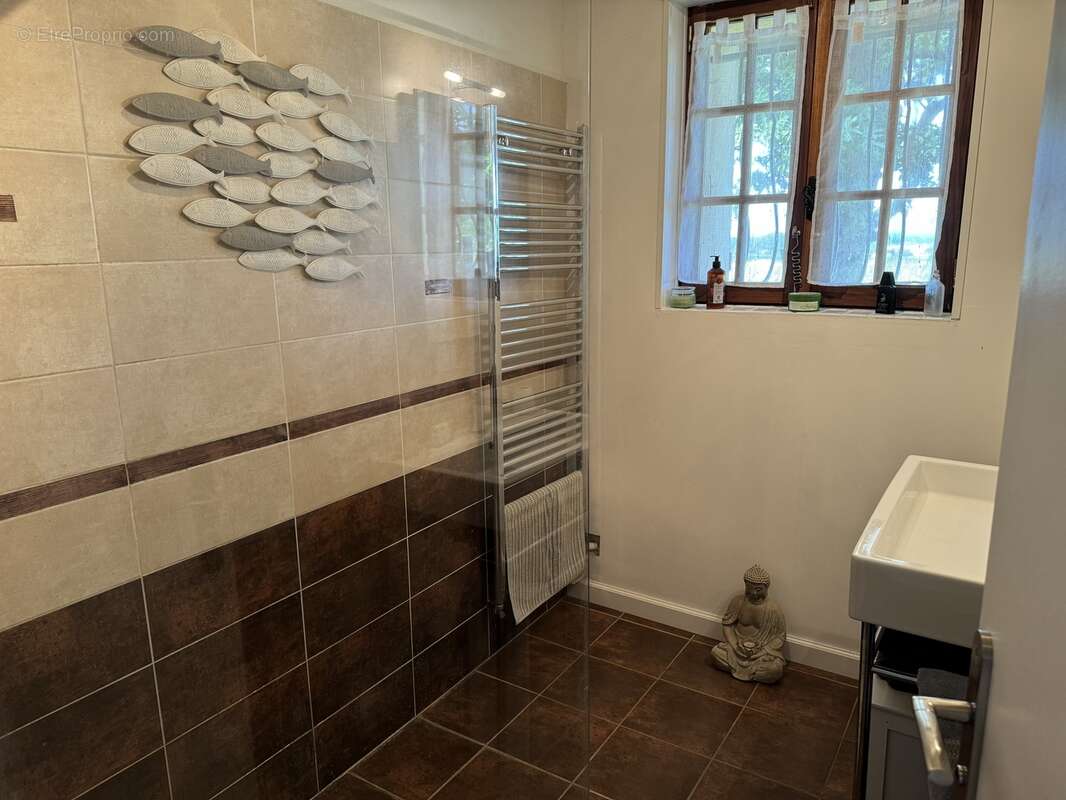 Maison 160 m² à Bellon  - photo 52