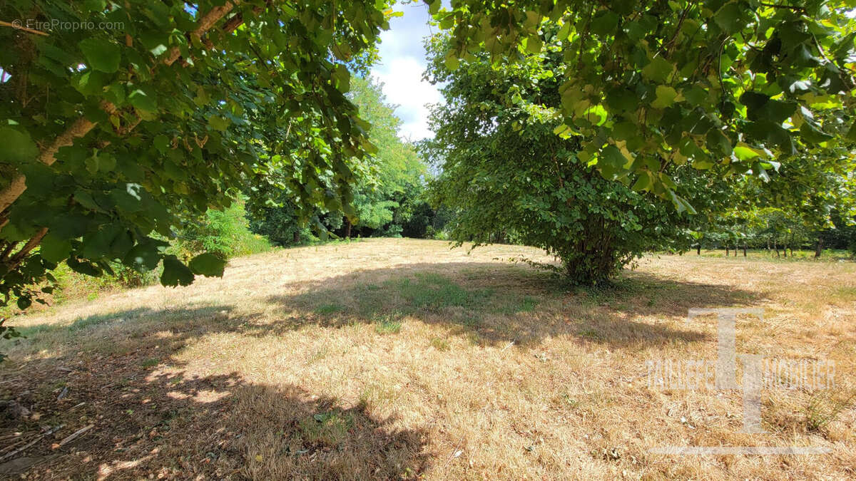 Maison 106 m² à Sarlande  - photo 8