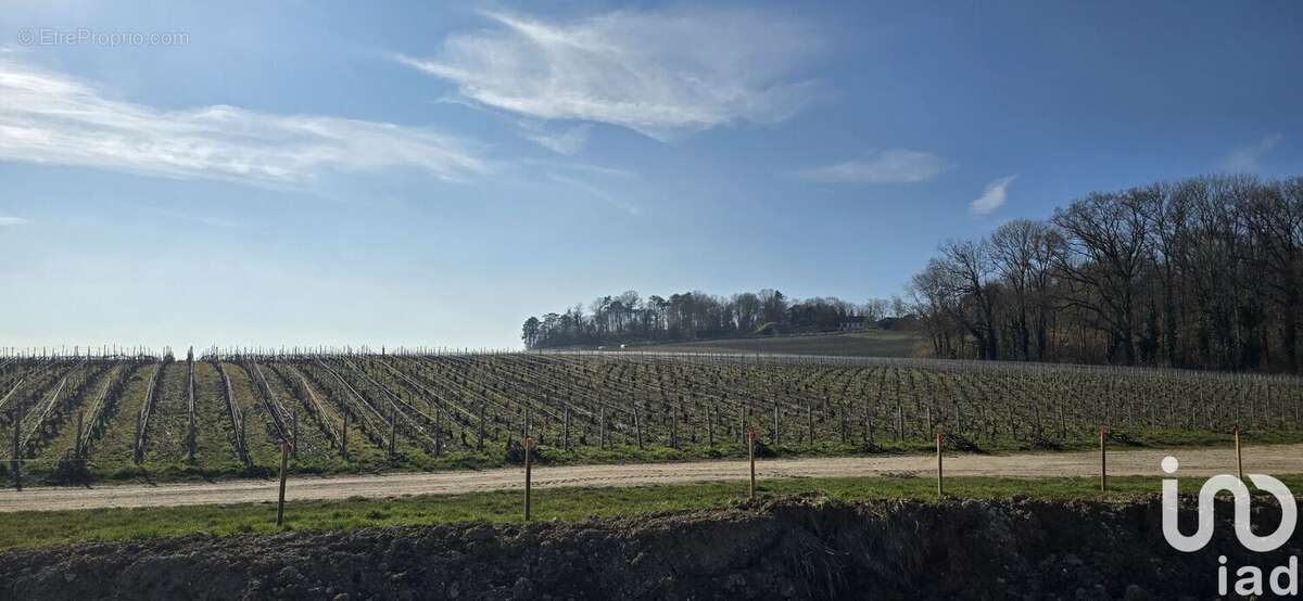 Photo 2 - Terrain à MERFY