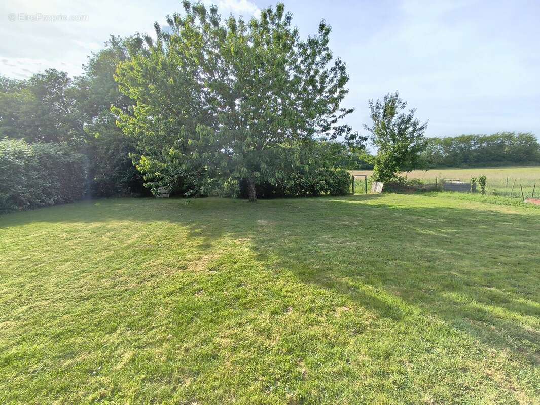 Maison à CELLE-LEVESCAULT