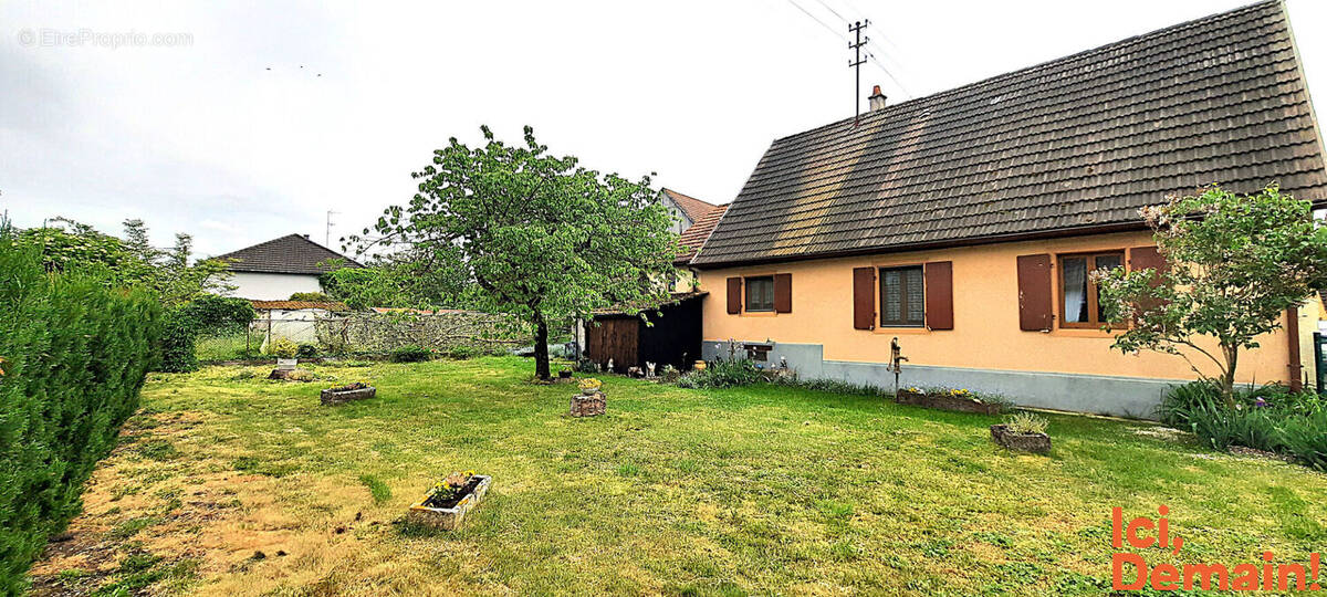 Maison à MUTTERSHOLTZ