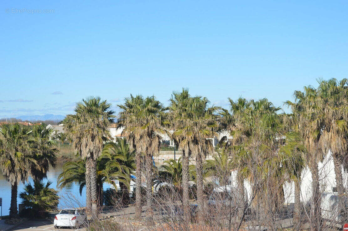 Photo 2 - Appartement à SAINT-CYPRIEN