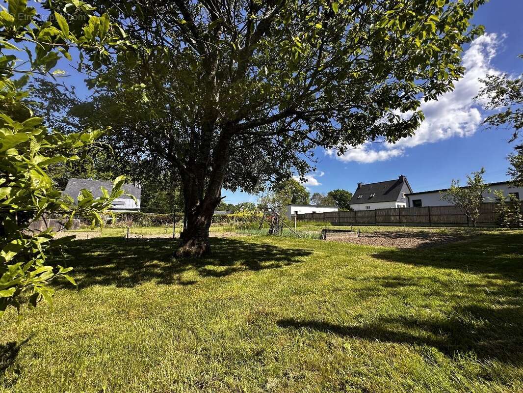 Terrain à LOCOAL-MENDON