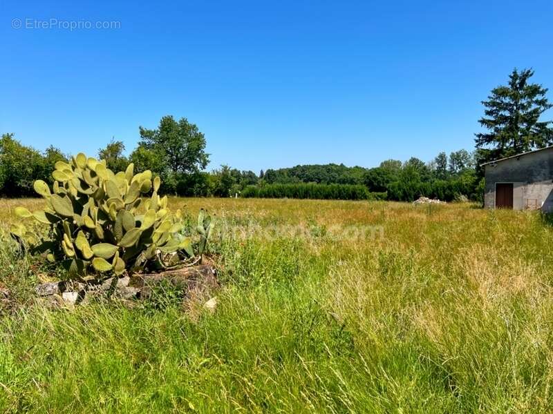 Maison à SAINT-SECONDIN