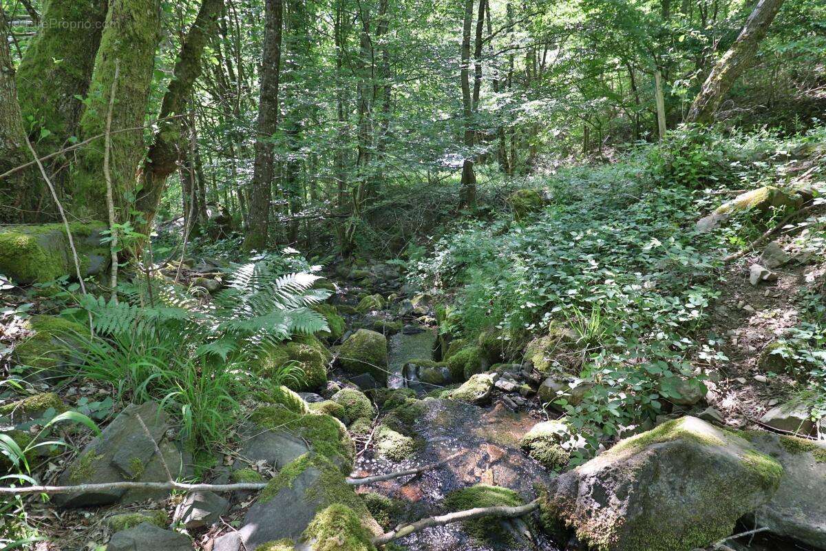 Terrain à LINTHAL