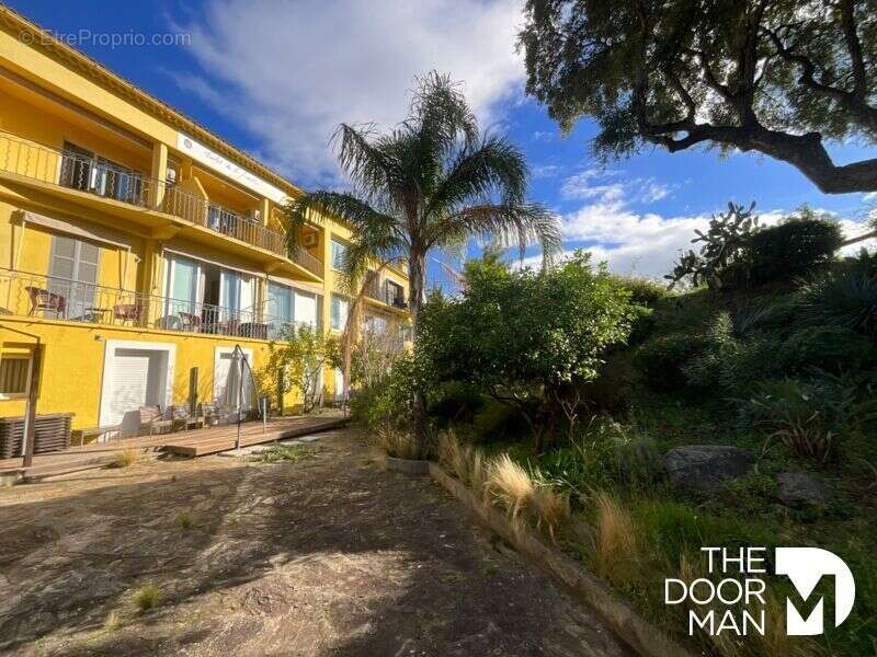 Commerce à LE LAVANDOU