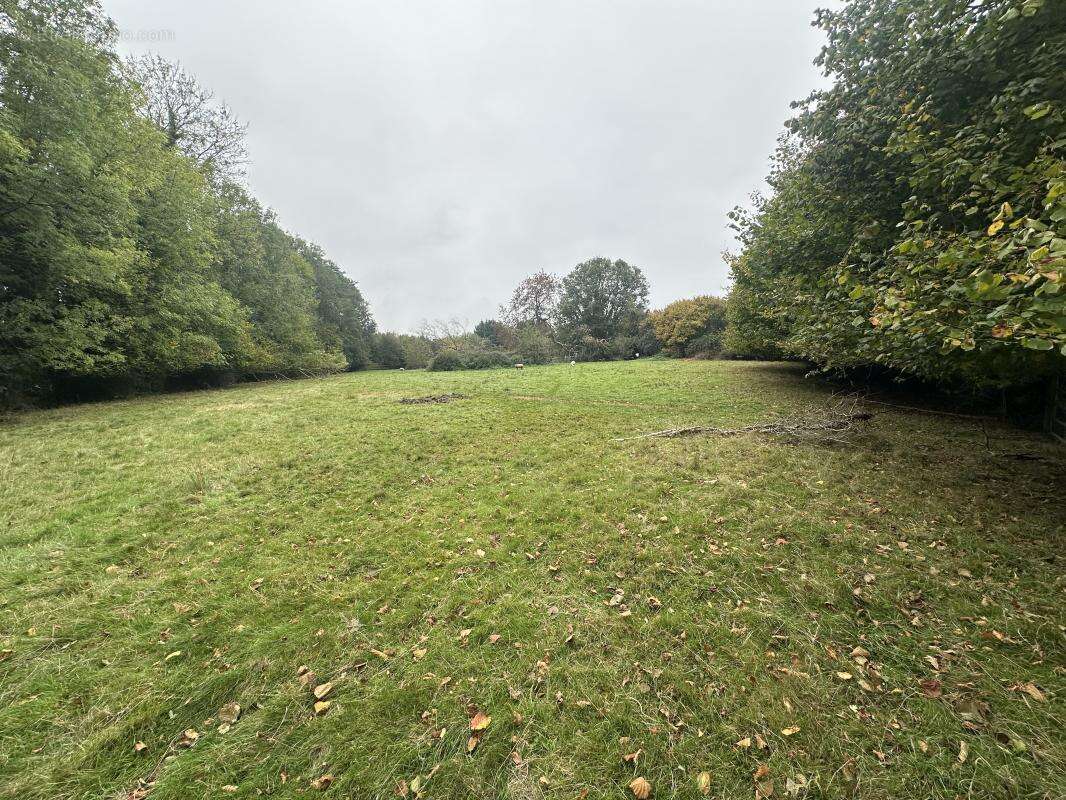 Terrain à CORMEILLES