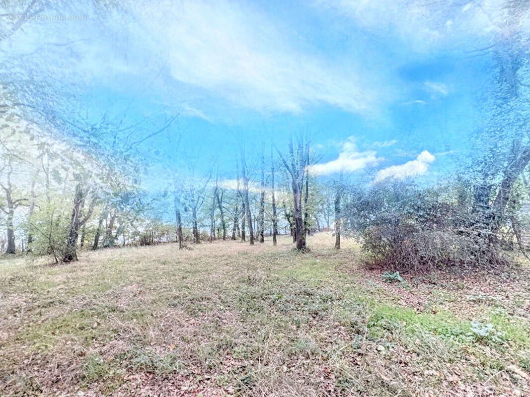 Terrain à POUCHARRAMET