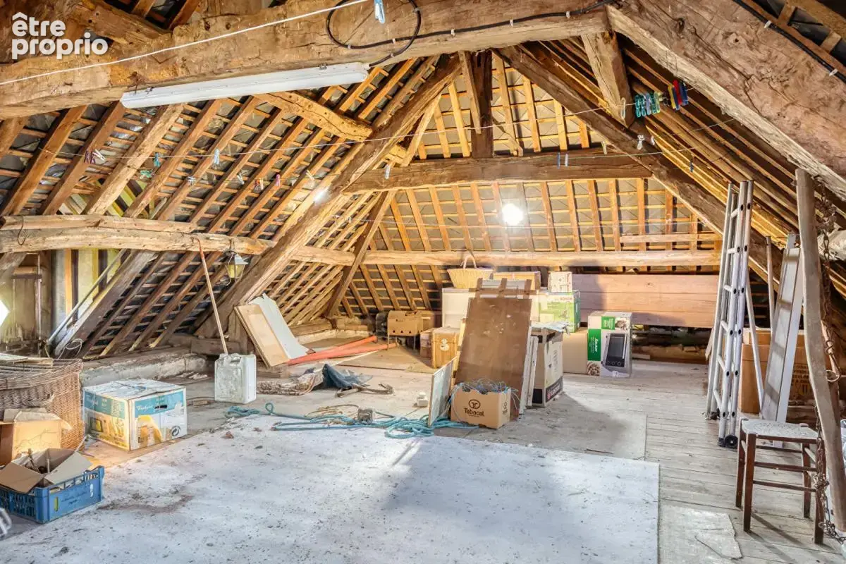 Manoir  du XVI ème , 218 m2 + grenier + cellier/  1480 m2 de dépendances sur 1,6ha - photo 18