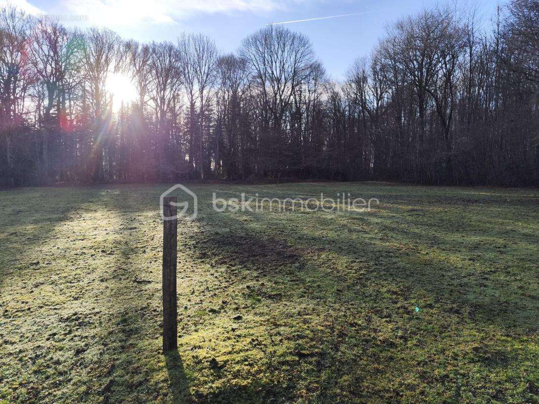 Confortable maison de 115m² habitables, sur 1 hectare de prés et de bois - photo 11