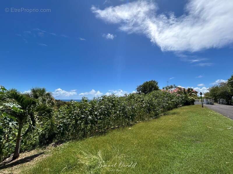 Terrain à LE GOSIER