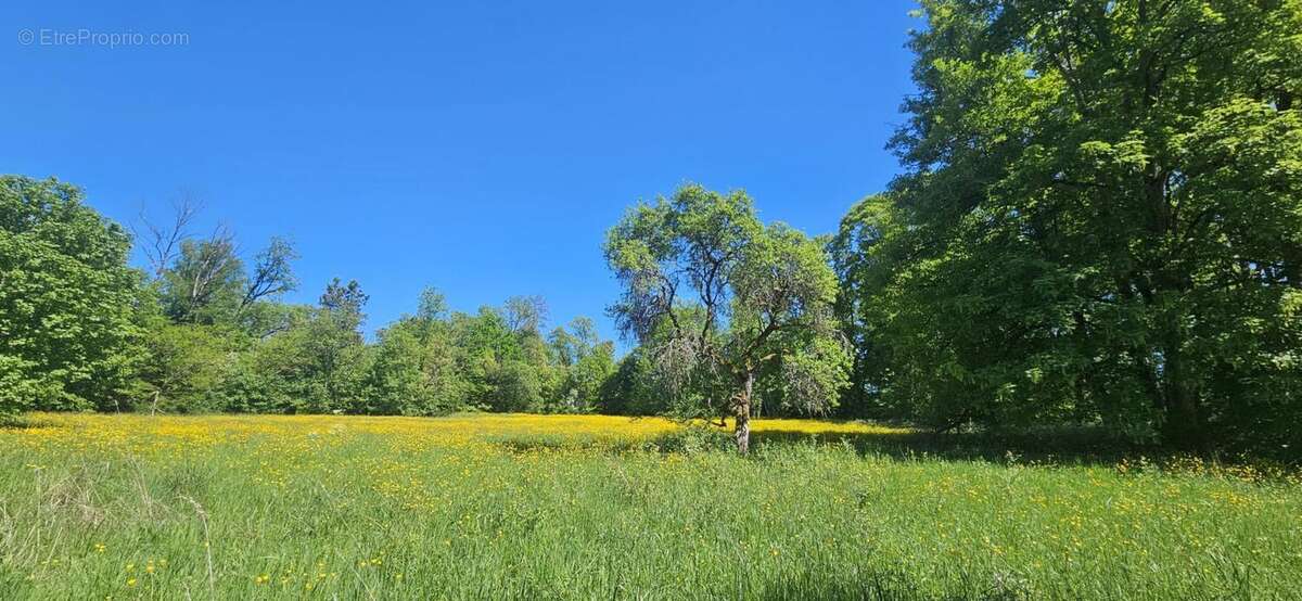 Domaine exceptionnel à rénover en Haute Saône - photo 15