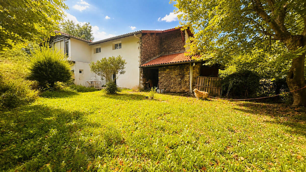 Photo 1 - Appartement à LOUHOSSOA