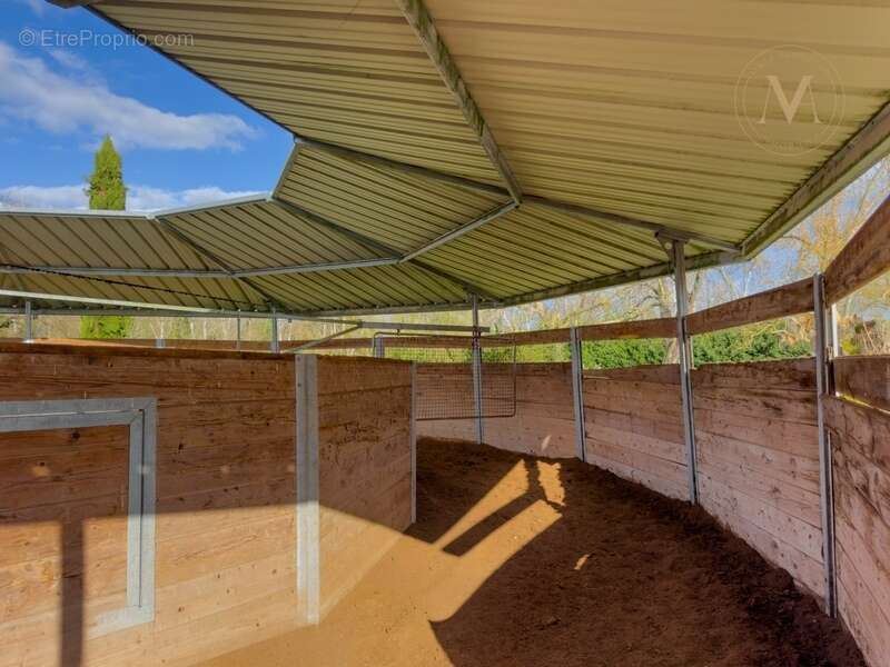 Propriété équestre de standing – Installations haut de gamme – 5 ha – Un bien rare offrant des infrastructures professionnelles, - photo 19