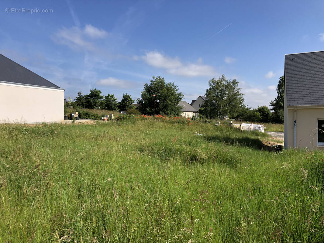 Terrain à AZAY-SUR-CHER