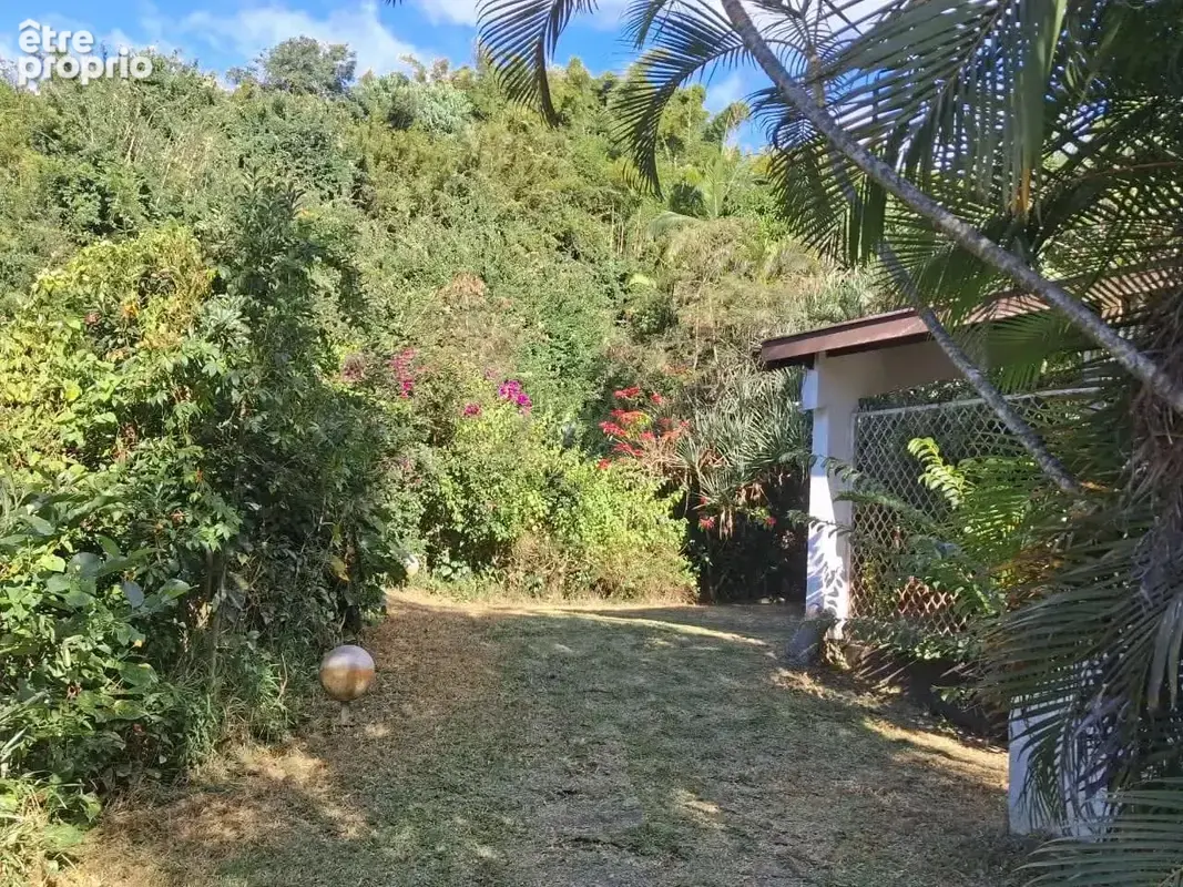 Propriété - 8 pièces - terrain de 4800 m² - photo 12
