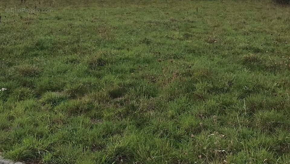 Terrain à PUTANGES-PONT-ECREPIN