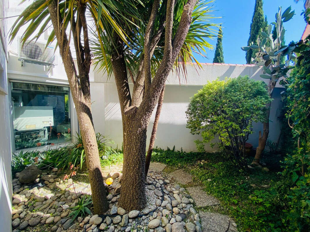 Maison à SAINT-CYPRIEN