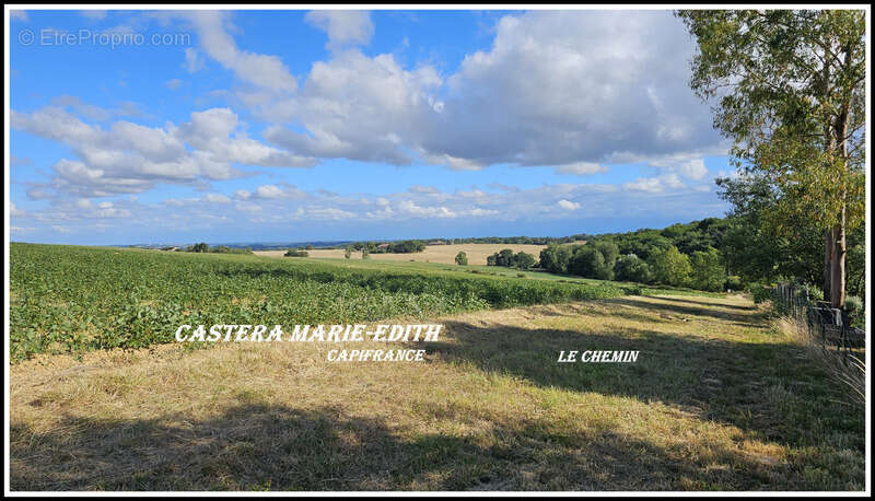Terrain  1503 m²  auch (32) vue pyrenees - photo 2