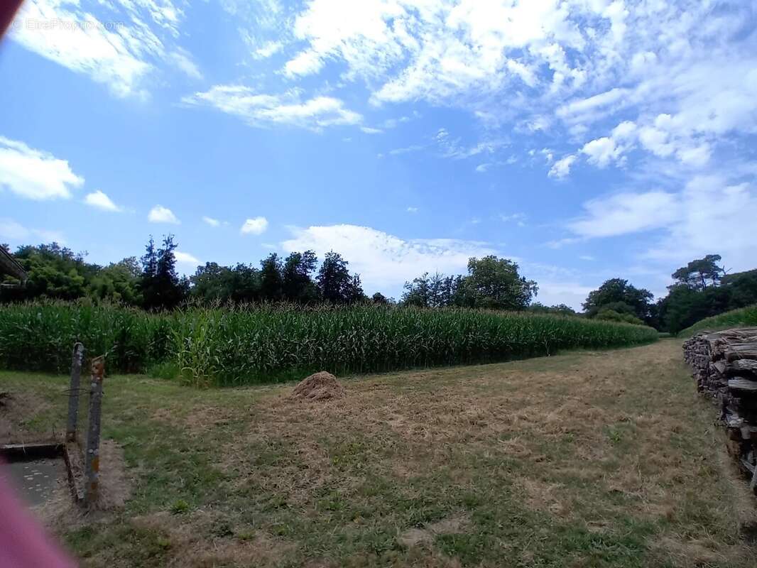 Maison de maître Pouillon 15 mn' au sud de Dax - photo 19