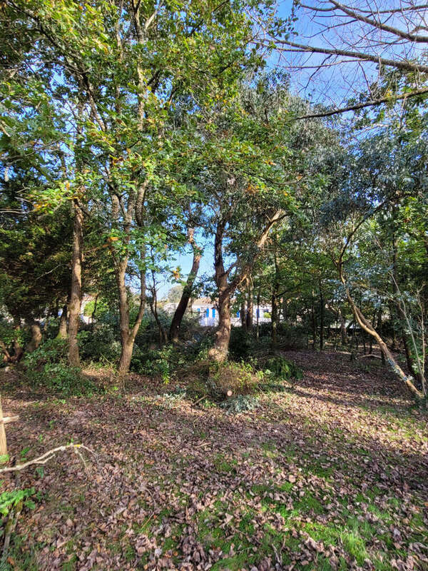 Terrain à LES SABLES-D&#039;OLONNE