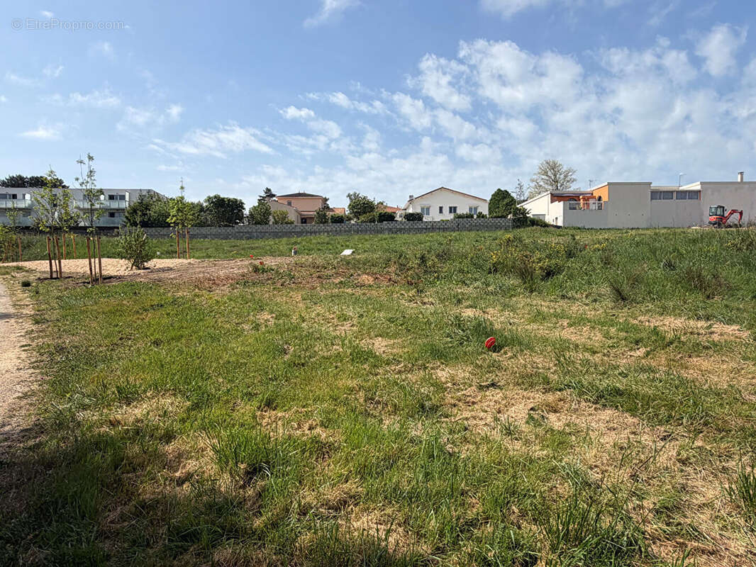 TERRAIN Constructible - photo 4