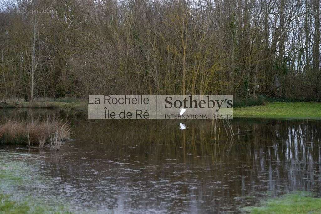 Maison à CHATELAILLON-PLAGE