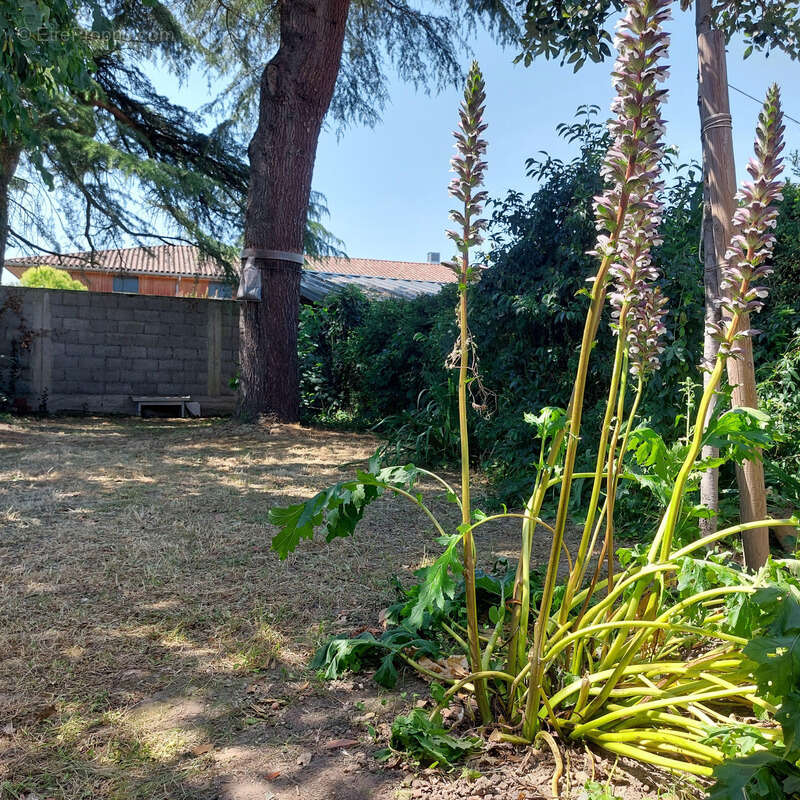 Maison à vendre 9 pièces MONTAUBAN (82) avec jardin et dépendance - photo 11