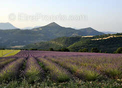 Maison à DIGNE-LES-BAINS