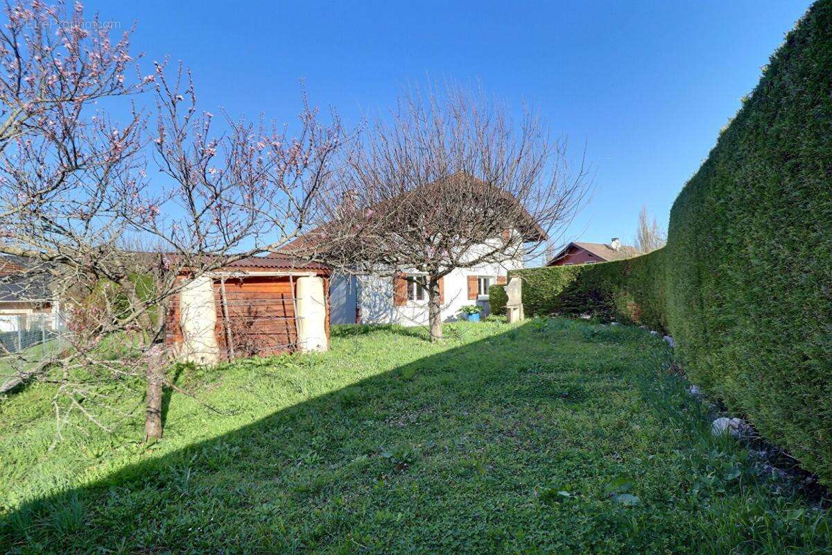 Maison à LA BALME-DE-SILLINGY