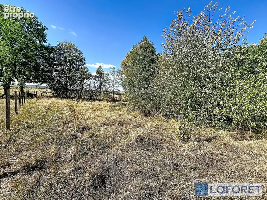 Terrain Val-de-Meuse (Lécourt) 2023m² - photo 6
