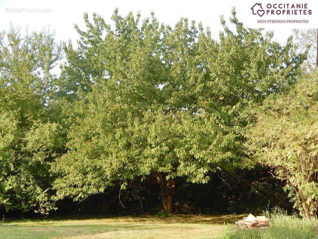 Maison à VILLEFRANCHE-DE-LAURAGAIS