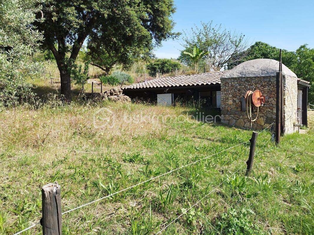 Propriété de 2 habitations et hangars - photo 13